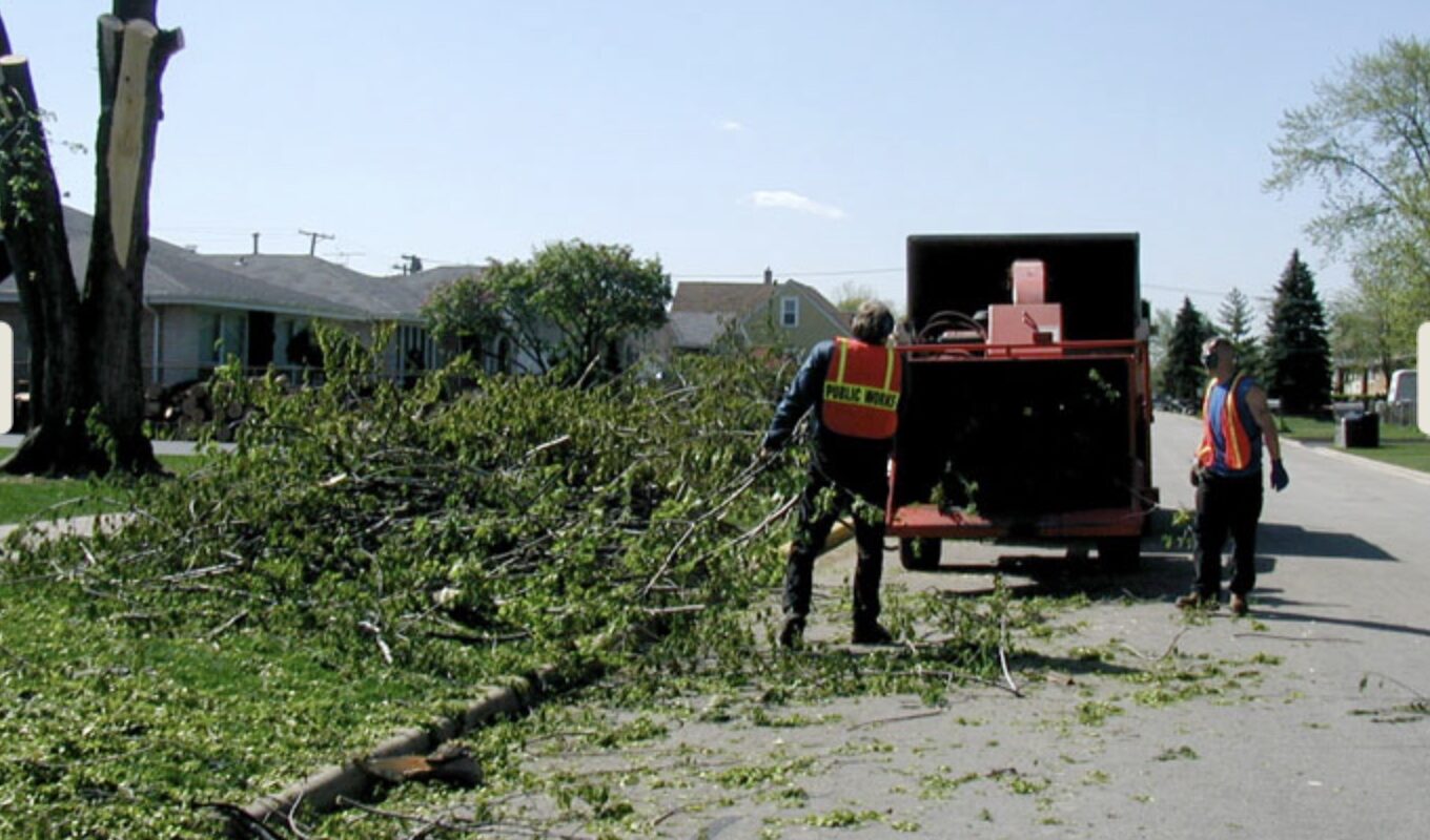 Village Yard Leaf Disposal - Village of Tiskilwa