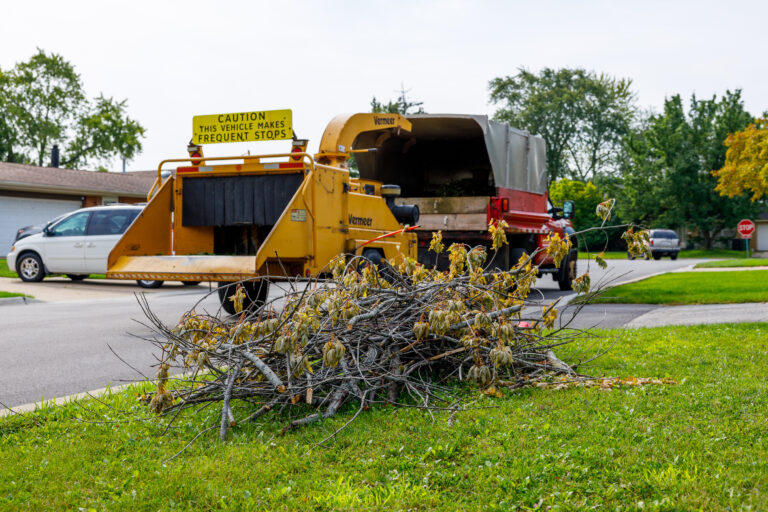 Branch chipper in position for a pile of branches placed along the curb.