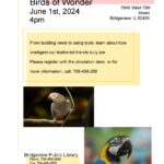 Bridgeview Public Library – Birds of Wonder