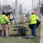 Bridgeview Water Tower Gets New Trees