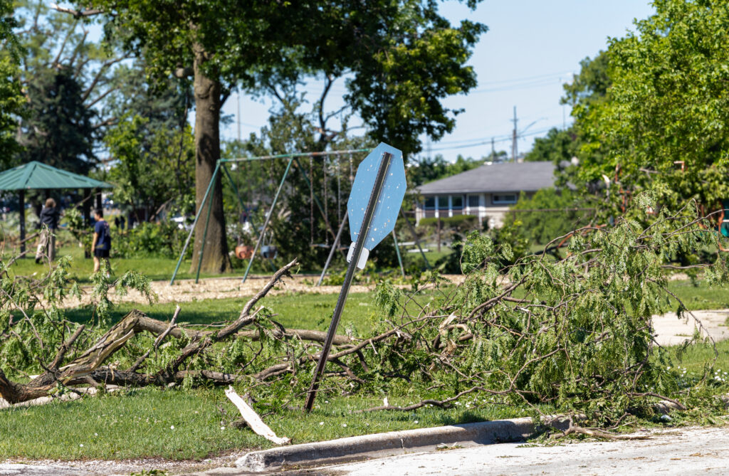 A stop signs leans as branches lie on the ground.