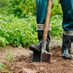CALL JULIE BEFORE YOU DIG!