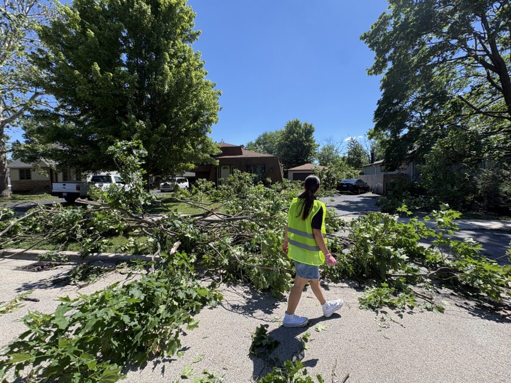 A woman in a yellow vest walks by fallen branches.